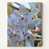 Blauwe lavanderkleurige orchidebloemen notitieboek (Achterkant)