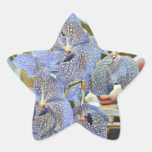Blauwe lavanderkleurige orchidebloemen