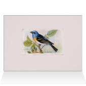 Blauwe Lazuli Bunting Bird bedankkaart (Binnen Horizontaal (Boven))