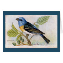 Blauwe Lazuli Bunting Bird bedankkaart