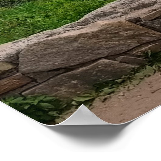 Blauwe lente afdrukken poster (Hoek)