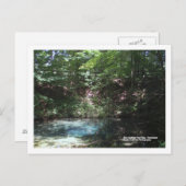 Blauwe lente bij Red Clay, Tennessee Briefkaart (Voorkant / Achterkant)