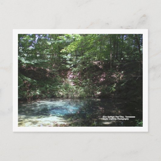 Blauwe lente bij Red Clay, Tennessee Briefkaart (Voorkant)