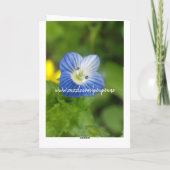 blauwe lente - kaart (Achterkant)