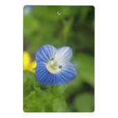 blauwe lente - klembord (Achterkant)