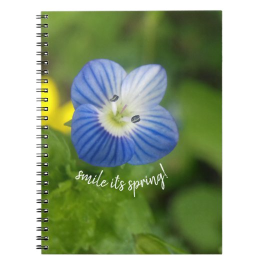 blauwe lente - notitieboek (Voorkant)