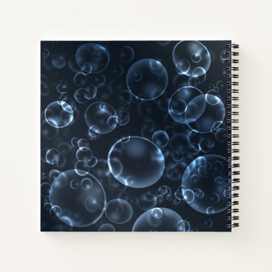 Blauwe lenzen notitieboek (Achterkant)