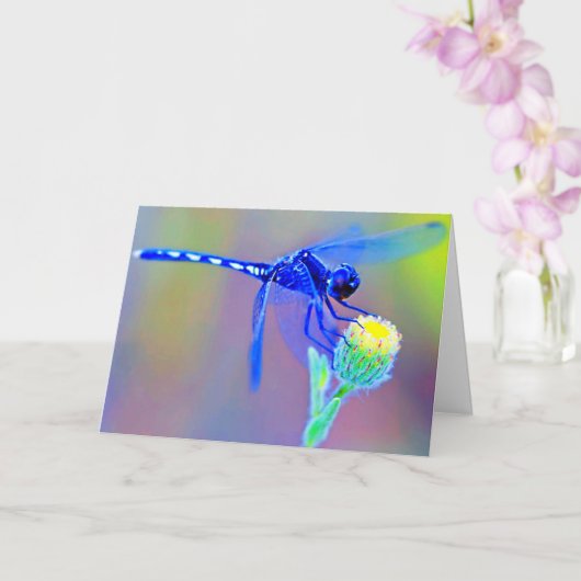 Blauwe libel blanco binnenkant kaart (Orchidee)