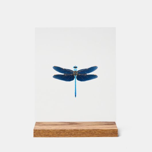 Blauwe Libel - Insecten Dierenliefhebber Ento Acryl Bord (Voorkant)