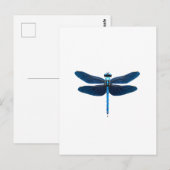 Blauwe Libel - Insecten Dierenliefhebber Ento Briefkaart (Voorkant / Achterkant)