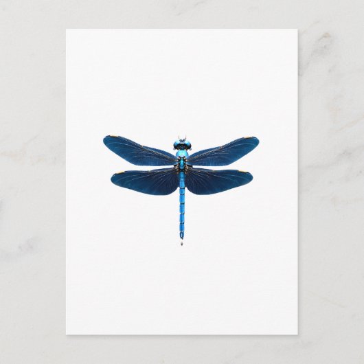 Blauwe Libel - Insecten Dierenliefhebber Ento Briefkaart (Voorkant)