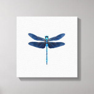 Blauwe Libel - Insecten Dierenliefhebber Ento Canvas Afdruk