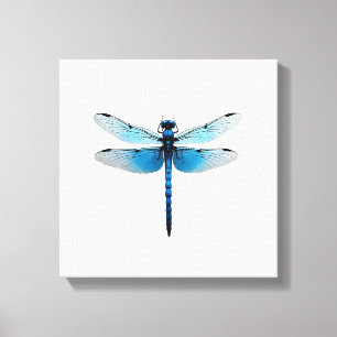 Blauwe Libel - Insecten Dierenliefhebber Ento Canvas Afdruk