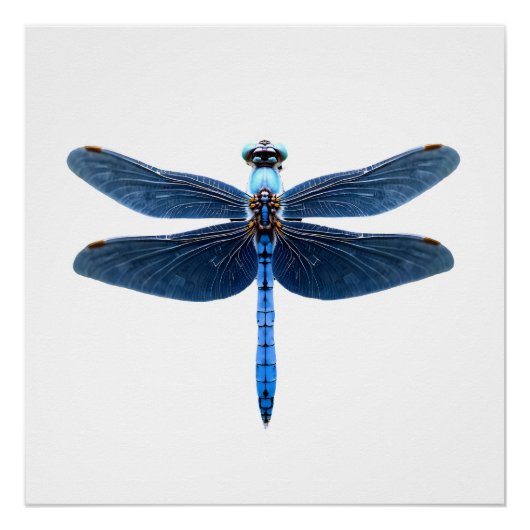 Blauwe Libel - Insecten Dierenliefhebber Ento Perfect Poster (Voorkant)