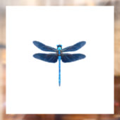 Blauwe Libel - Insecten Dierenliefhebber Ento Raamsticker (Vel 2)