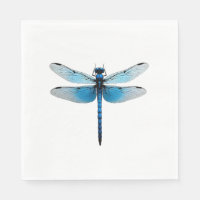 Blauwe Libel - Insecten Dierenliefhebber Ento