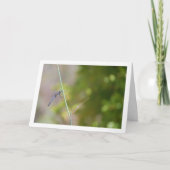 Blauwe libel op stengelportret kaart (Voorkant)