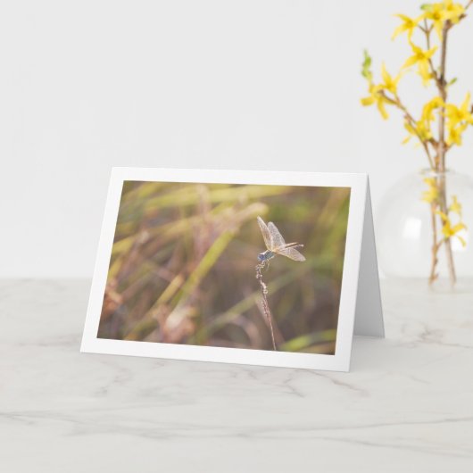Blauwe libel op stengelportret kaart (Gele Bloem)
