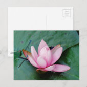 Blauwe libellen op een roze lotusbloem briefkaart (Voorkant / Achterkant)