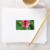 Blauwe libellen op roze groene achtergrond etiket (Insitu)