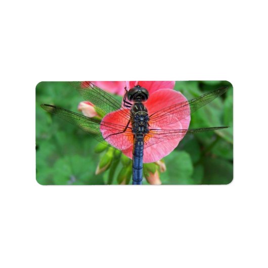 Blauwe libellen op roze groene achtergrond etiket (Voorkant)