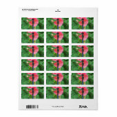 Blauwe libellen op roze groene achtergrond etiket (Full Sheet)