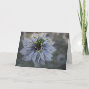 Blauwe Liefde in de Myst Wenskaart Kaart