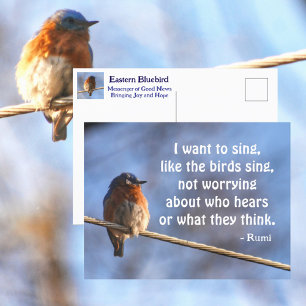 Blauwe Lijster Ik wil Rumi Citaat Fotografisch Briefkaart