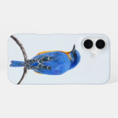 Blauwe lijster iPhone 16 hoesje (Achterkant horizontaal)