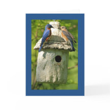 blauwe lijster jubileumkaart