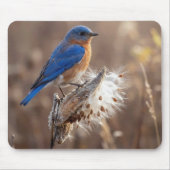 Blauwe lijster op een zijdeplantpeul muismat (Voorkant)