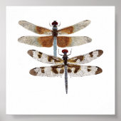 Blauwe likkerlichten poster (Voorkant)