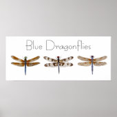 Blauwe likkerlichten poster (Voorkant)