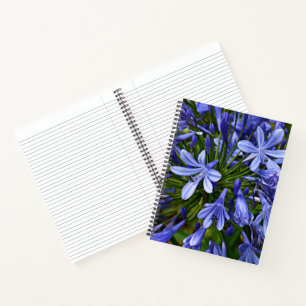 Blauwe Lily van de Nijl Agapanthus Bloemen Notitieboek