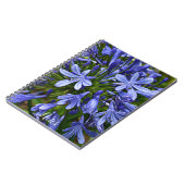 Blauwe Lily van de Nile Agapanthus Floral Notitieboek (Linkerzijde)
