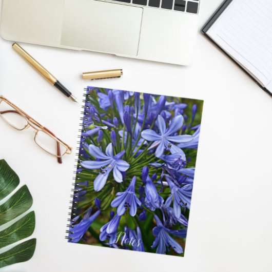 Blauwe Lily van de Nile Agapanthus Floral Notitieboek