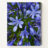 Blauwe Lily van de Nile Agapanthus Floral Notitieboek (Achterkant)