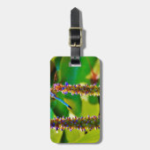 Blauwe limonade en bloemen bagagelabel (Voorkant verticaal)