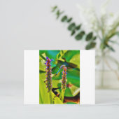 Blauwe limonade en bloemen briefkaart (Staand voorkant)