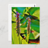 Blauwe limonade en bloemen briefkaart (Voorkant / Achterkant)