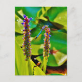 Blauwe limonade en bloemen briefkaart (Voorkant)