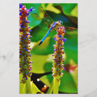 Blauwe limonade en bloemen briefpapier