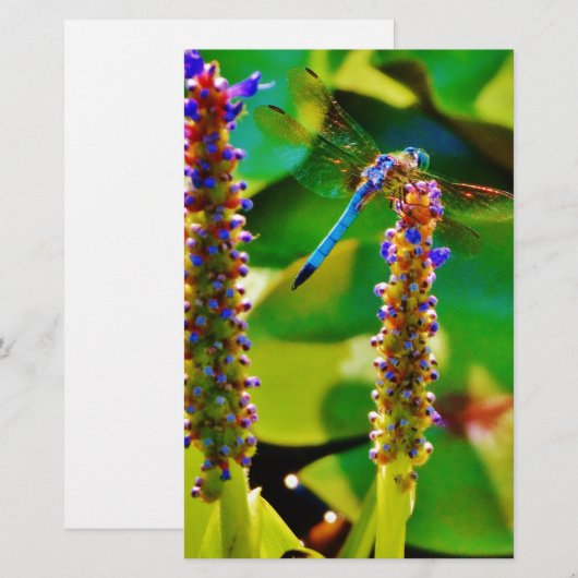 Blauwe limonade en bloemen briefpapier (Voorkant / Achterkant)