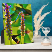 Blauwe limonade en bloemen fotoplaat (Zijkant)