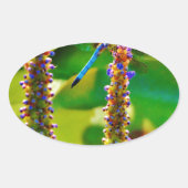 Blauwe limonade en bloemen ovale sticker (Voorkant)