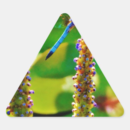 Blauwe limonade en bloemen sticker (Voorkant)