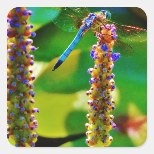 Blauwe limonade en bloemen vierkante sticker (Voorkant)