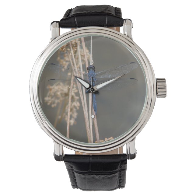 Blauwe limonade horloge (Voorkant)