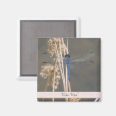 Blauwe limonade magneet (Voorkant / Achterkant)