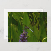 Blauwe limonade op een Paarse bloem Briefkaart (Voorkant / Achterkant)